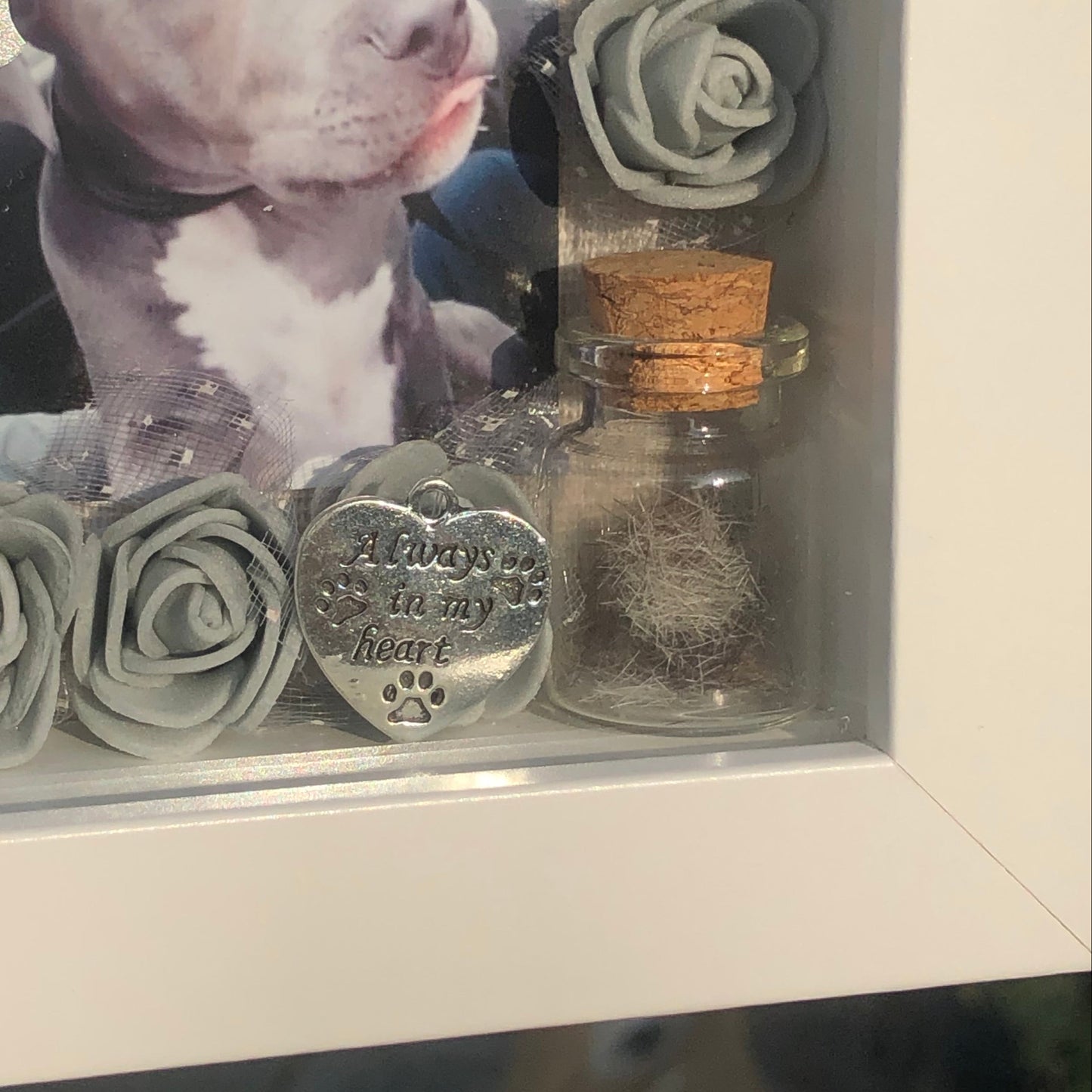 Dog Memorial Picture Frame