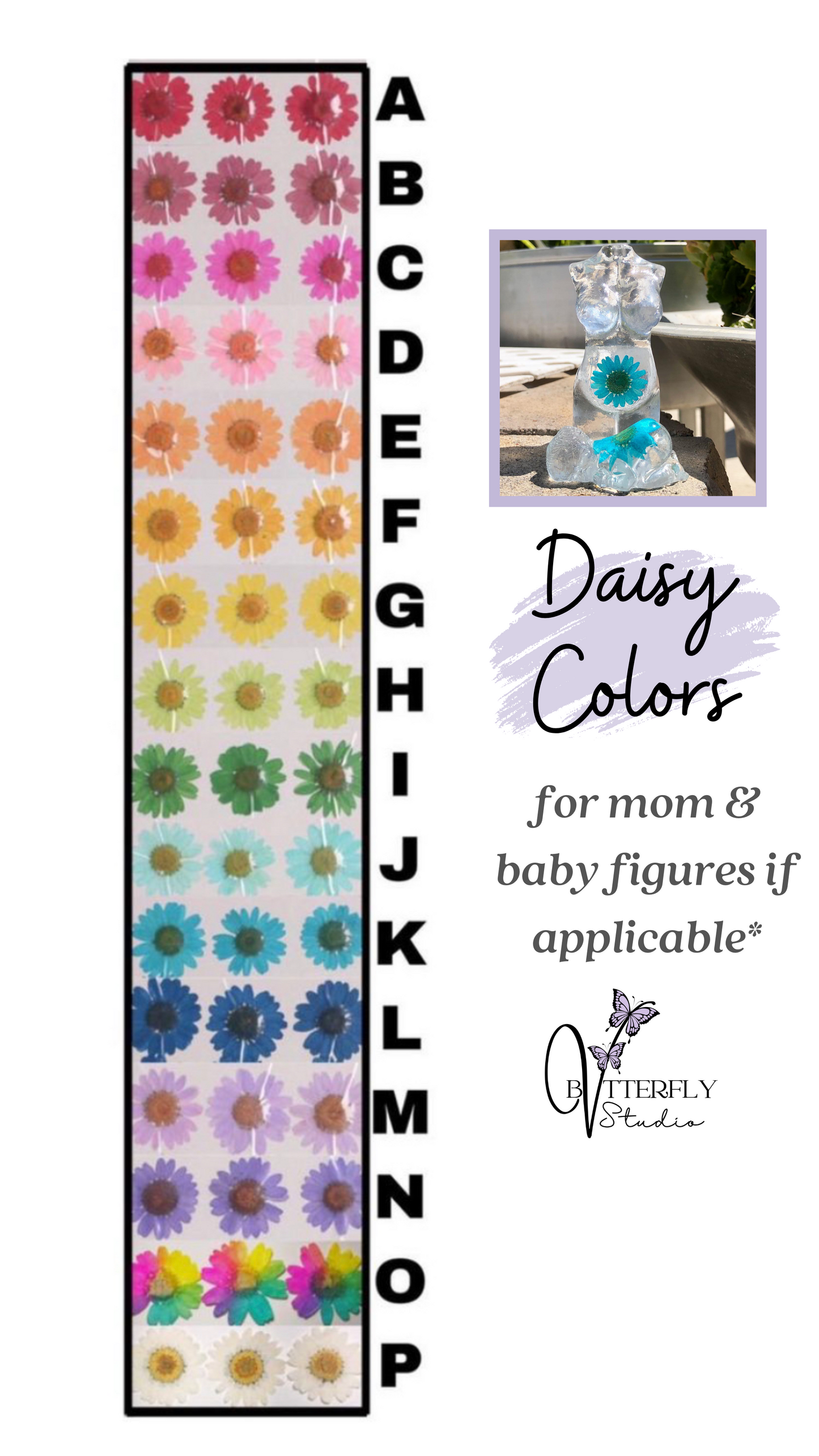 Pregnancy Belly / Baby Shadow Box - Floral Border