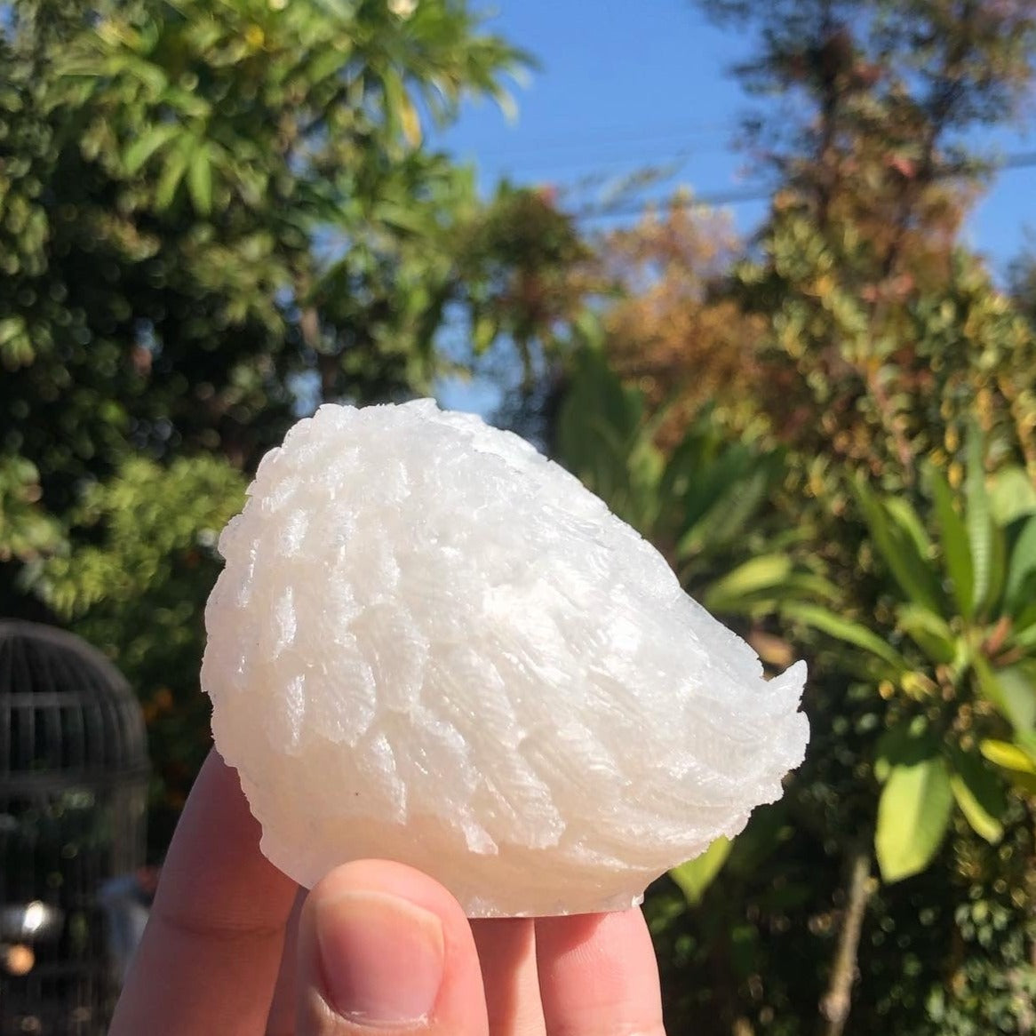 Angel Wing Trinket Dish