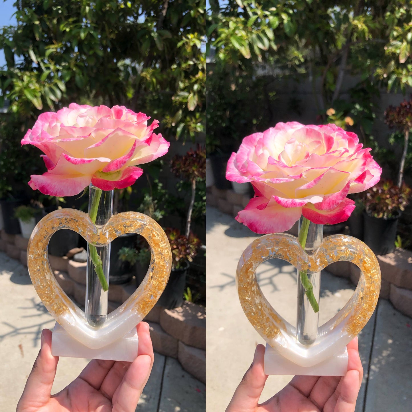 Heart ♡ Propagation Stand - customizable