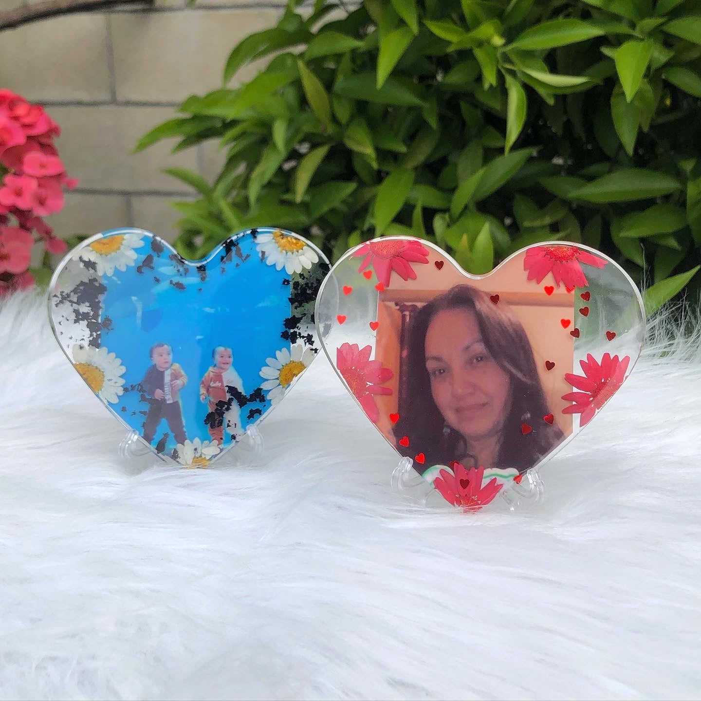 Preserved Photo Display Set