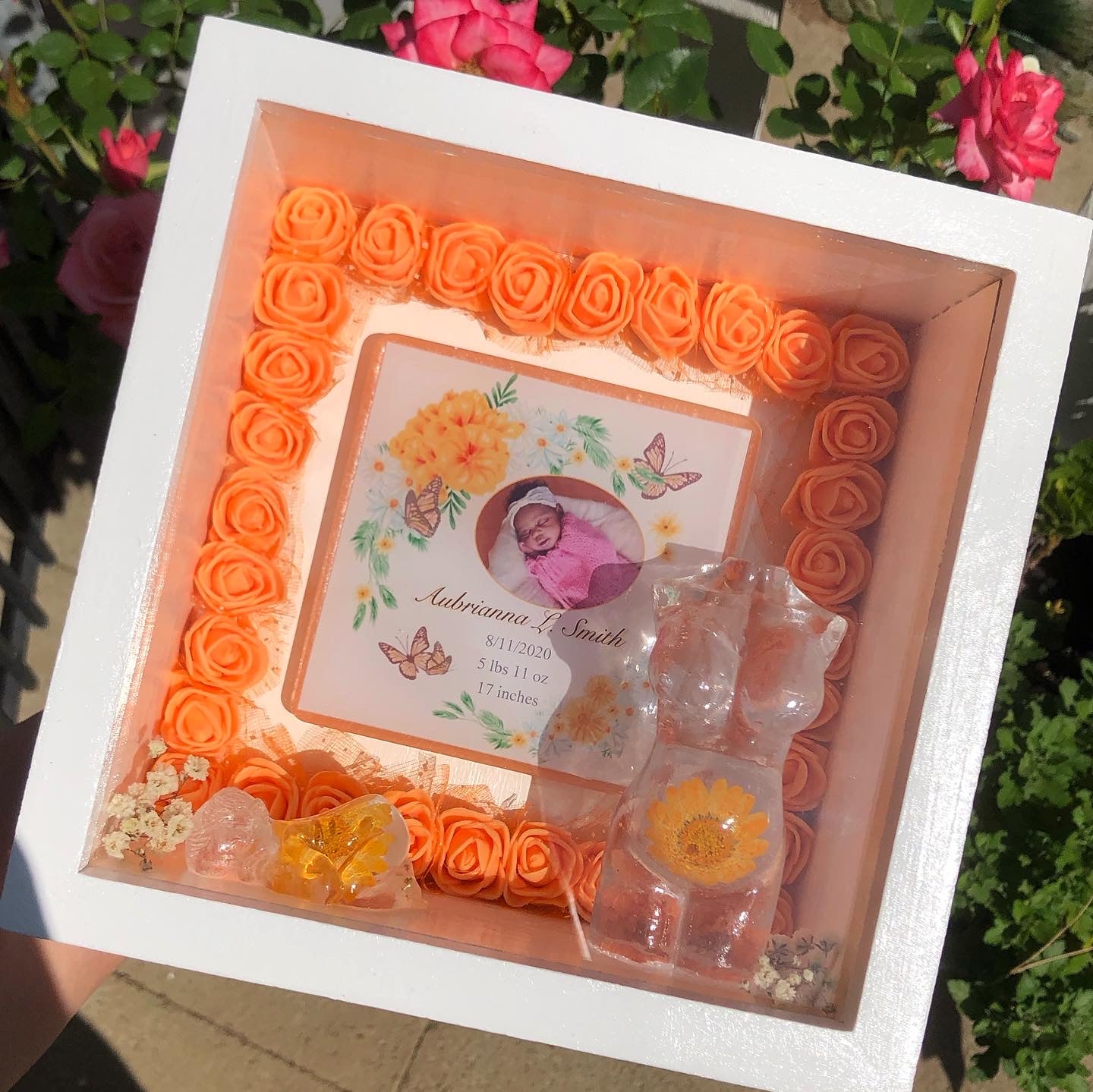 Pregnancy /Baby Shadow Box - Rose Border