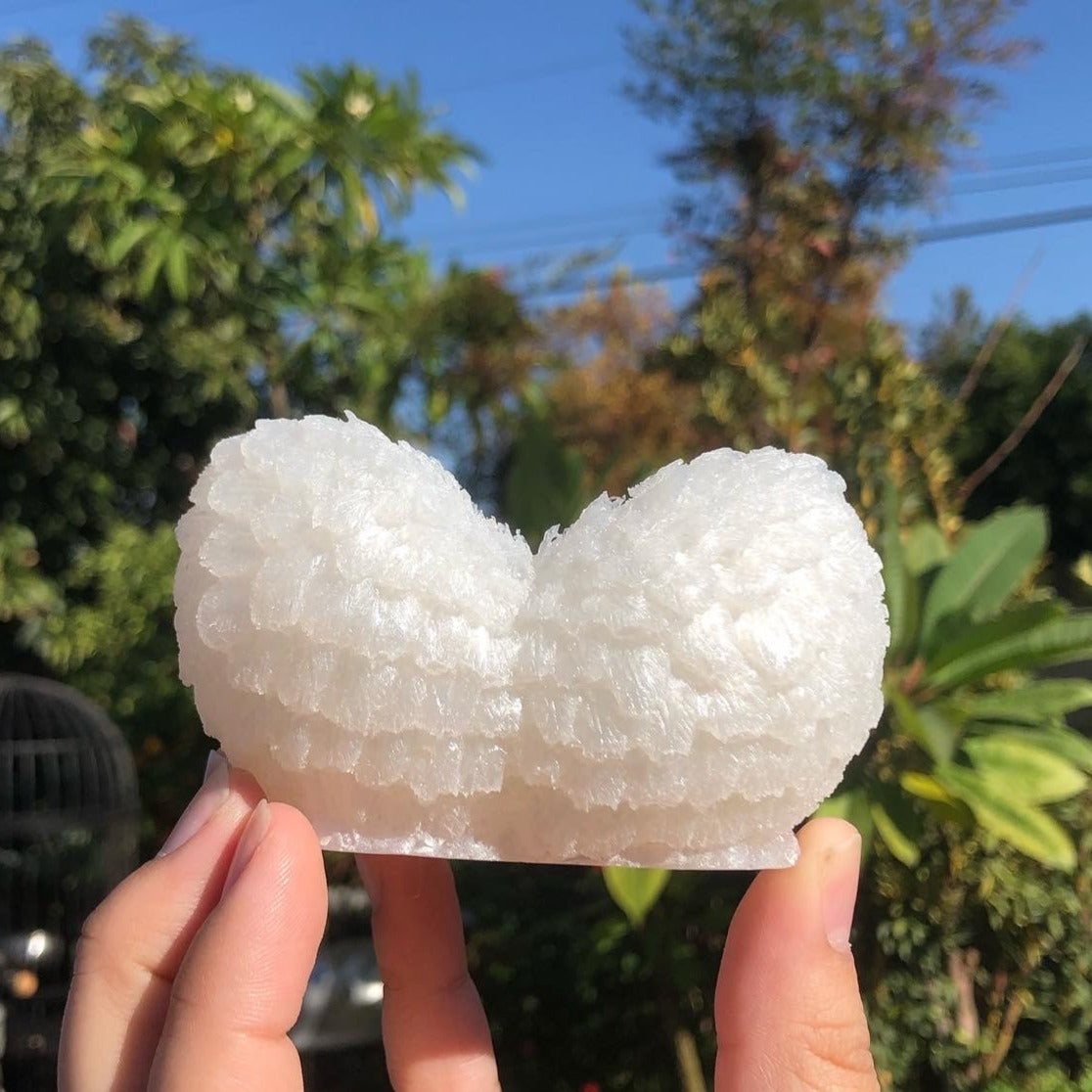 Angel Wing Trinket Dish